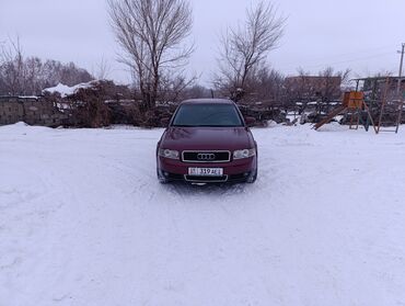 мухабойка на ауди: Audi A4: 2001 г., 2 л, Автомат, Бензин, Седан