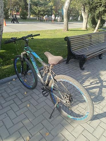 adidas velo: Velosibet suraxanıdadır real aliciya endirim olacaq prablemi 3dis olan — 7