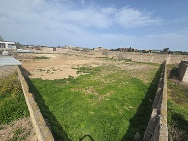 Torpaq sahələrinin satışı: 25 sot, Tikinti, Mülkiyyətçi, Kupça (Çıxarış) -da lalafo.az — 21 Torpaq sahələrinin satışı: 25 sot, Tikinti, Mülkiyyətçi, Kupça (Çıxarış) — 21