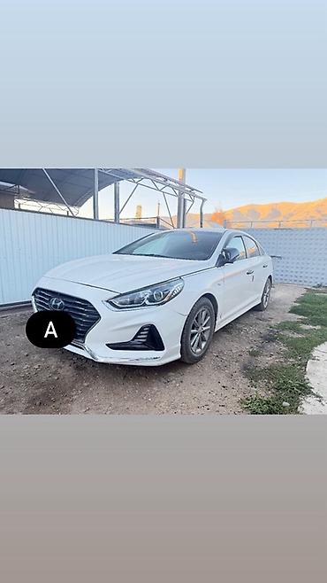 byd chin 2024: Hyundai Sonata: 2018 г., 2 л, Автомат, Бензин, Седан — 6