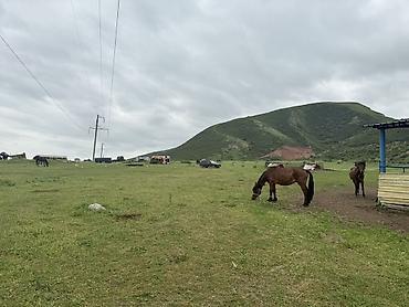 Аренда юрт: Этно-гостевой дом с конными прогулками и проживанием - Размещение — 32