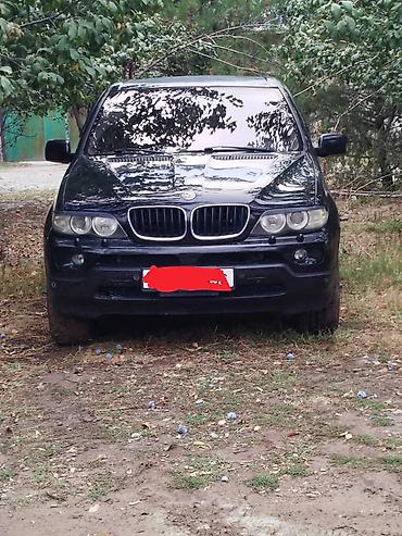 bmw x5 2013: BMW X5: 2003 г., 0.3 л, Автомат, Дизель, Кроссовер — 2