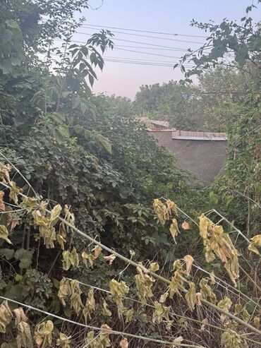 Продажа домов: Дом, 800 м², 2 комнаты, Старый ремонт — 7