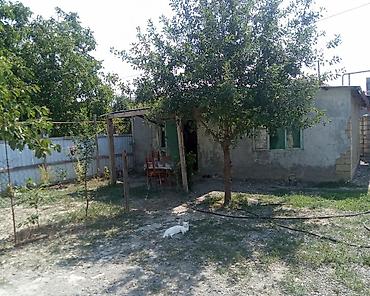 bilgəh bağ evləri: Təcili satılır.Mingecevir şəhəri Günəşli qəsəbəsi poçt küçəsində 1ci — 6