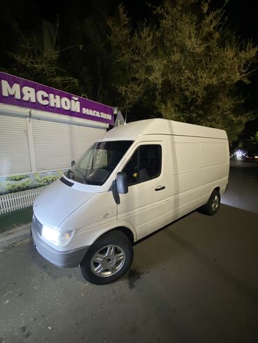 бризговик на спринтер: Mercedes-Benz Спринтер: 1999 г., 2.9 л, Механика, Дизель, Фургон