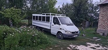 сприт: Грузовой фургон/бортовой микроавтобус Mercedes-Benz Sprinter (кабина с — 1