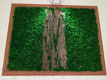 Кабинеты в салонах красоты: Сдаю Кабинет в салоне, 28 м², Для бровиста, Для визажиста, Для лешмейкера at lalafo.kg — 6 Кабинеты в салонах красоты: Сдаю Кабинет в салоне, 28 м², Для бровиста, Для визажиста, Для лешмейкера — 6