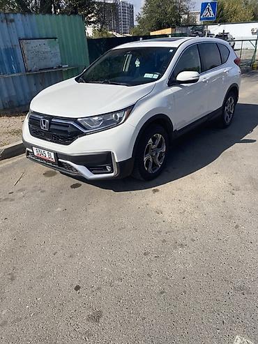 Унаа сатуу: Honda CR-V: 2019 г., 1.5 л, Автомат, Бензин, Кроссовер — 2