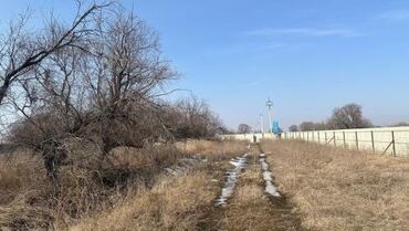 Продажа участков: 126 соток, Для бизнеса, Красная книга, Договор купли-продажи at lalafo.kg — 8 Продажа участков: 126 соток, Для бизнеса, Красная книга, Договор купли-продажи — 8