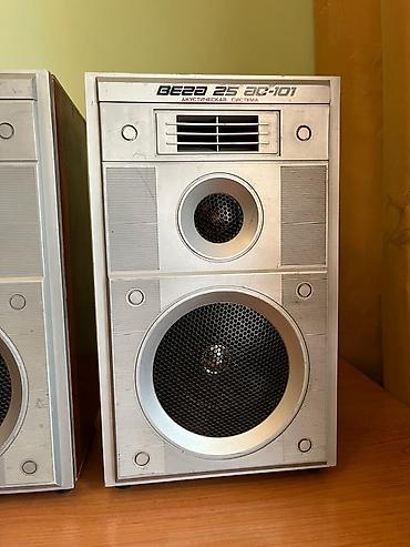 se electronics: Акустическая система Вега 25АС-101 (пара) - Формат: полочная — 5
