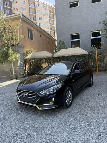 фонари на авто: Hyundai Sonata: 2018 г., 2 л, Автомат, Газ, Седан