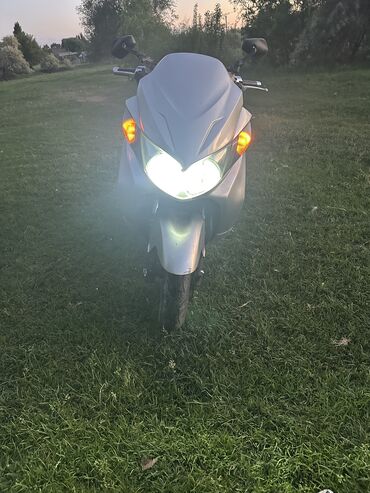 бузук машиналар: Макси скутер Suzuki, 250 куб. см, Бензин, Колдонулган