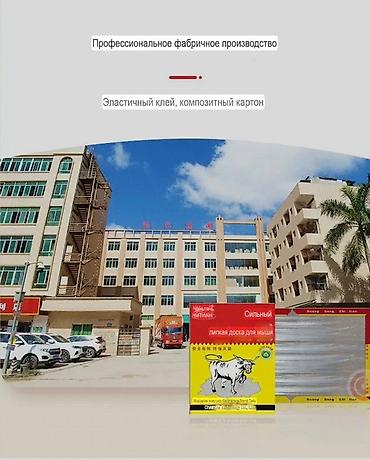 Другие хозтовары: Липкая доска-ловушка для мышей Описание: - Основа из плотного — 2