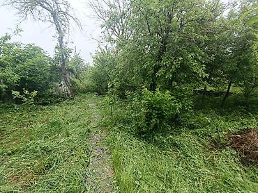 Продажа дач: Дача Кой-Таш.Кирпичный дом 6 соток."Эдельвейс".Красная книга.Все — 4