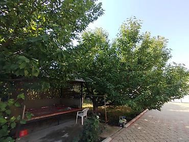 хата в оше: 🏡 Тойлор жана эс алуу үчүн чоң үй ижарага берилет! Кыз узатуу, куда — 7