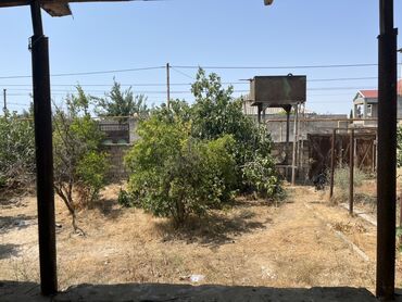 Torpaq sahələrinin satışı: 6 sot, Mülkiyyətçi, Kupça (Çıxarış) — 26