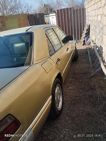 Mercedes-Benz: Mercedes-Benz 250: 2.5 l | 1993 il Sedan — 9