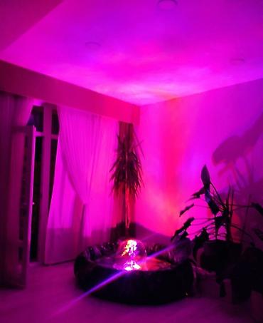 led projector: Декоративные фонтаны — 5