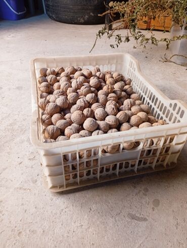 гречка 1 кг цена бишкек: 🌰 Свежий домашний грецкий орех в скорлупе! 🌰 Продаю вкусные и