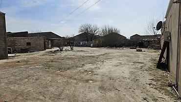 Torpaq sahələrinin satışı: Tikinti — 1