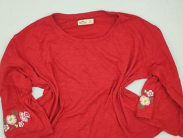 hollister: Hollister, Bluzka damska, rozmiar XS — 1