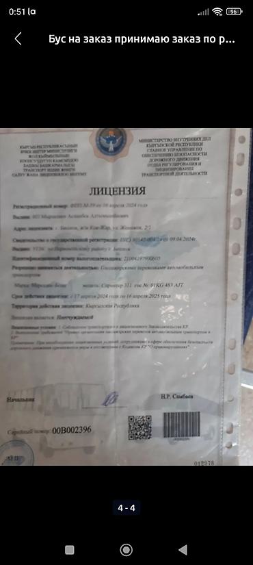51 роза: Рекс на заказ принимаю заказы по регионам КР — 4