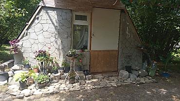 ləhis baglari: Qəbələ, 15 kv. m, 1 otaqlı — 1