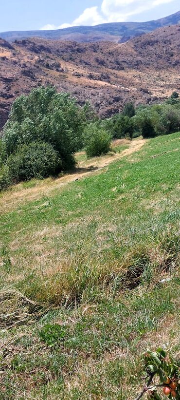 Torpaq sahələrinin satışı: Əkin sahəsi kənd təsərrüfatı fəaliyyəti üçün geniş imkanlar təklif — 4