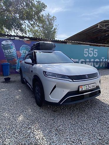 BYD Seagull: 2025 г., Электромобиль, Кроссовер