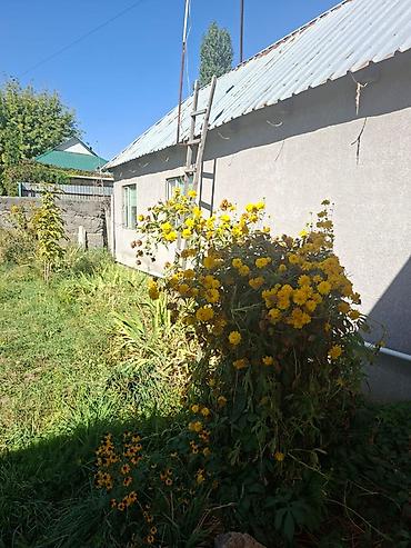 бир: 🏡 ПРОДАЁТСЯ ДОМ С УЧАСТКОМ 11 СОТОК Продаётся уютный дом на земельном — 2