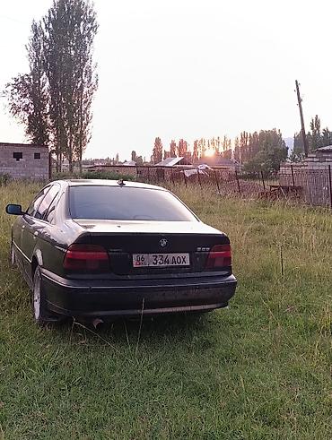 crown athlete 3 5: BMW 525: 2000 г., 2.5 л, Автомат, Бензин, Седан — 6