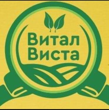требуется бухгалтер удаленно: Бухгалтер