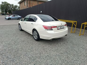купить бензонасос на ланос 1 5: Honda Accord: 2009 г., 3.5 л, Автоматтык, Бензин, Седан