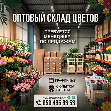 мой склад: Требуется Менеджер по продажам, График: Пятидневка, Полный рабочий день, Карьерный рост — 1