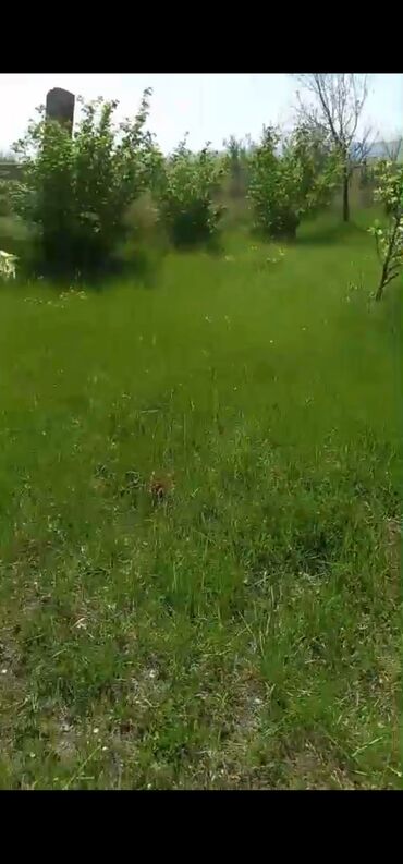 Torpaq sahələrinin satışı: 8 sot, Kənd təsərrüfatı, Mülkiyyətçi, Bələdiyyə -da lalafo.az — 4 Torpaq sahələrinin satışı: 8 sot, Kənd təsərrüfatı, Mülkiyyətçi, Bələdiyyə — 4