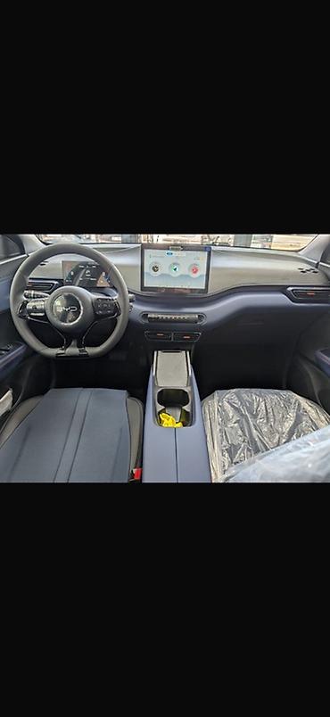 BYD: BYD Seagull: 2025 г., Робот, Электромобиль, Хэтчбэк — 4