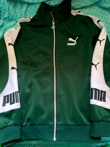термо одежда для спорта: Спортивный костюм M (EU 38), цвет - Зеленый