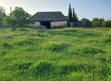 аренда квартир посуточно в баку: 6 соток, Для сельского хозяйства, Собственник, Купчая