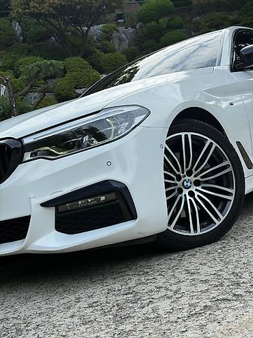 BMW: BMW 5 series: 2019 г., 2 л, Автомат, Бензин, Седан — 6