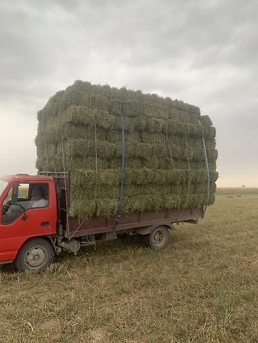 чищенный чеснок: 2-укос с доставкой любой количества скоро будем косить с доставкой по — 2