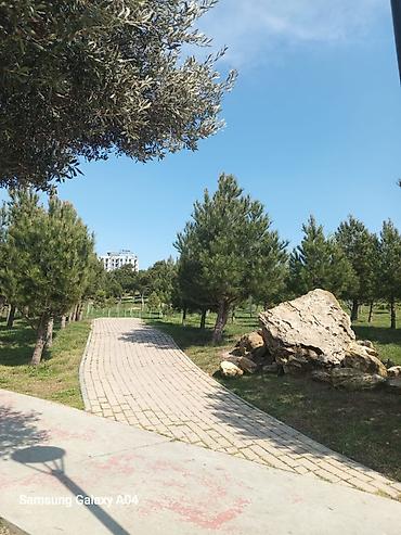 Yeni tikili: Tecili Satılır ! 2 otaglı menzil Hezi Aslanov metrosunun yanında -da lalafo.az — 22 Yeni tikili: Tecili Satılır ! 2 otaglı menzil Hezi Aslanov metrosunun yanında — 22