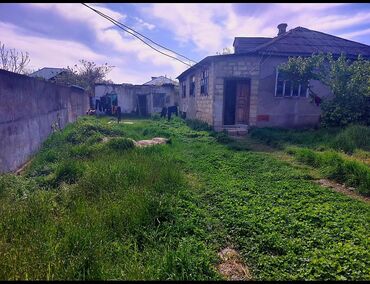 xacmaz torpag: 9 sot, Mülkiyyətçi, Kupça (Çıxarış)