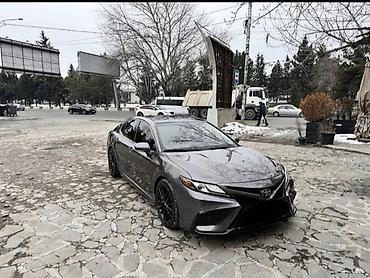 camry 2020: Toyota Camry: 2020 г., 2.5 л, Автомат, Бензин, Седан — 1