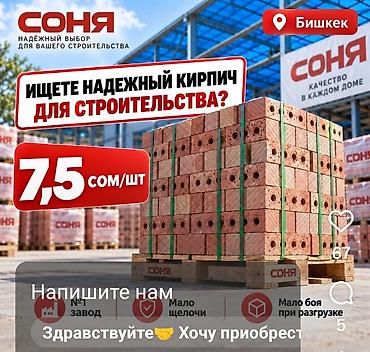 Пустотелый, дырчатый, Жженый кирпич, Полублок, 250×120×90