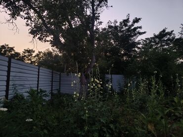 25 sot, Tikinti, Mülkiyyətçi, Kupça (Çıxarış)