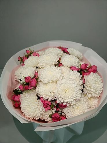 полевые цветы: 🌹 Розовая кустовая роза 😍
Келишим баада! Чалыңыздар — 2