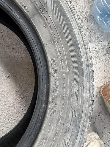 195 70 с: Зимняя шина Dunlop (без шипов, Studless) - Тип: зимняя фрикционная — 2