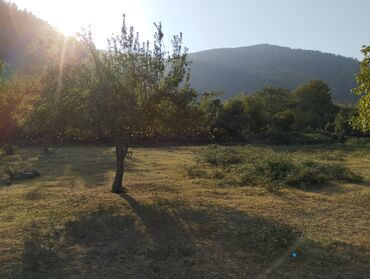 Torpaq sahələrinin satışı: Oguz Rayon Xalxal kendinde 49 sot torpaq satilir bagda qoz zogal -da lalafo.az — 8 Torpaq sahələrinin satışı: Oguz Rayon Xalxal kendinde 49 sot torpaq satilir bagda qoz zogal — 8