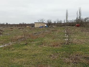 Torpaq sahələrinin satışı: 34 sot, Tikinti, Maklerlər narahat etməsin, Kupça (Çıxarış) — 11