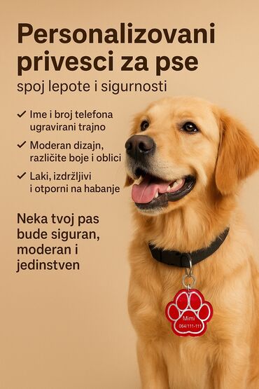 Psi: Personalizovani privesci za pse. Licna karta vasih kuca😃 Ime i broj — 1